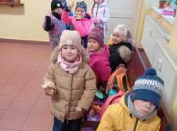 IMG-20260217-WA0000