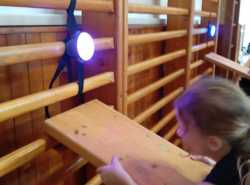 IMG-20260217-WA0040