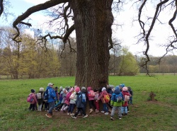 IMG_20260421_105520