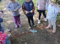 IMG_20260430_103852