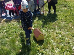 IMG_20260430_111518