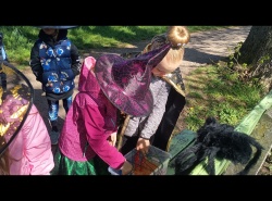 IMG_20260430_093520