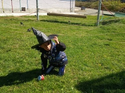 IMG_20260430_103826