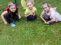 IMG_20250602_094738