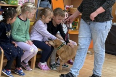 Dopoledne s Terezkou 🐕