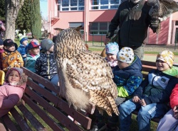 IMG_20250409_101101