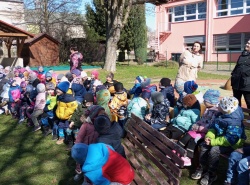 IMG_20250409_102748