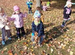 IMG_20261005_103326