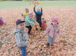 IMG_20261008_105312