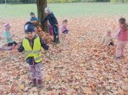 IMG_20261008_105338