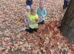 IMG_20261008_105356