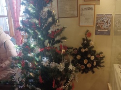 IMG_20241121_094615