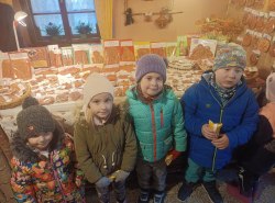 IMG_20241121_101445