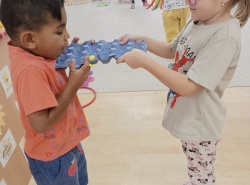 IMG_20260909_085303