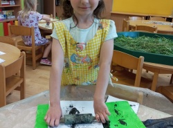 IMG_20260526_073555