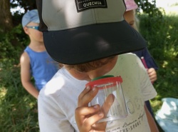 IMG_20260527_100709