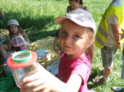 IMG_20260527_102738