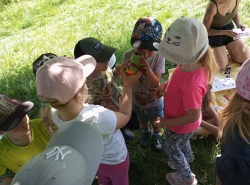 IMG_20260527_102807