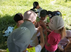 IMG_20260527_102810