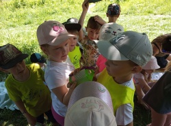 IMG_20260527_102814
