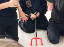 IMG-20241205-WA0002
