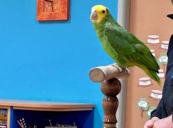 IMG-20260401-WA0000