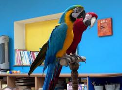 IMG-20260401-WA0003