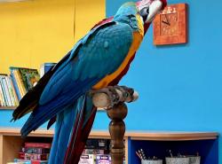 IMG-20260401-WA0009