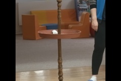 Návštěva papoušků 🦜