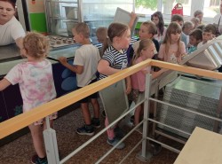 IMG_20250604_110055