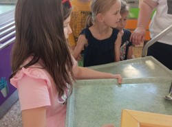 IMG_20250604_110411