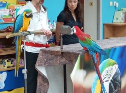 IMG_20250324_090544