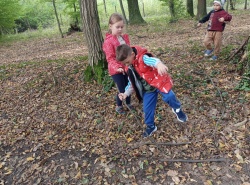 IMG_20240923_102019