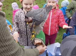 IMG_20241009_104702