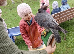 IMG_20241009_104931