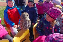 Ukázka dravců na zahradě MŠ 🦉🦅