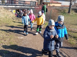 IMG_20250320_094724
