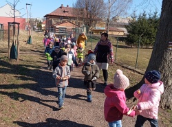 IMG_20250320_094805