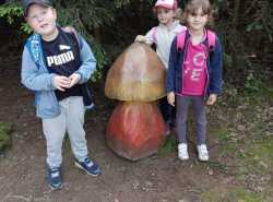 IMG-20250610-WA0002