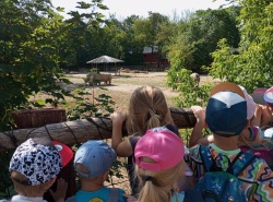 IMG_20260609_094653