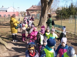 IMG_20250320_094803