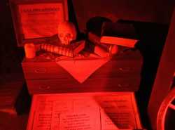IMG-20241121-WA0024